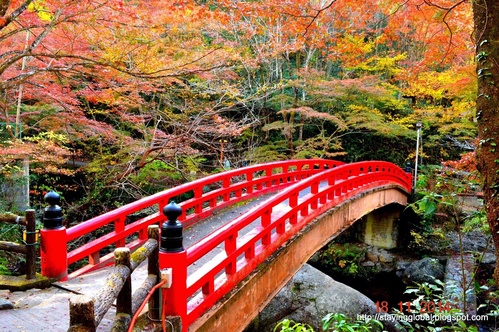 🏞️ 이와야도 공원 (이와야도코엔) 이미지 6